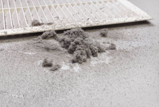 Best Home Air Vent Cleaning  in Lanster, CA