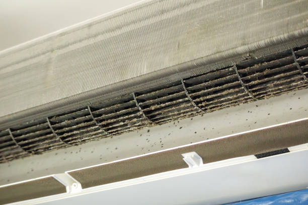 Best HVAC System Cleaning  in Lanster, CA